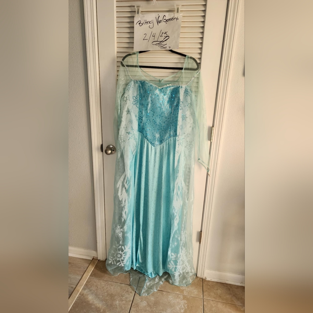 Disney Disguise Women's Elsa Prestige Adult Costume
